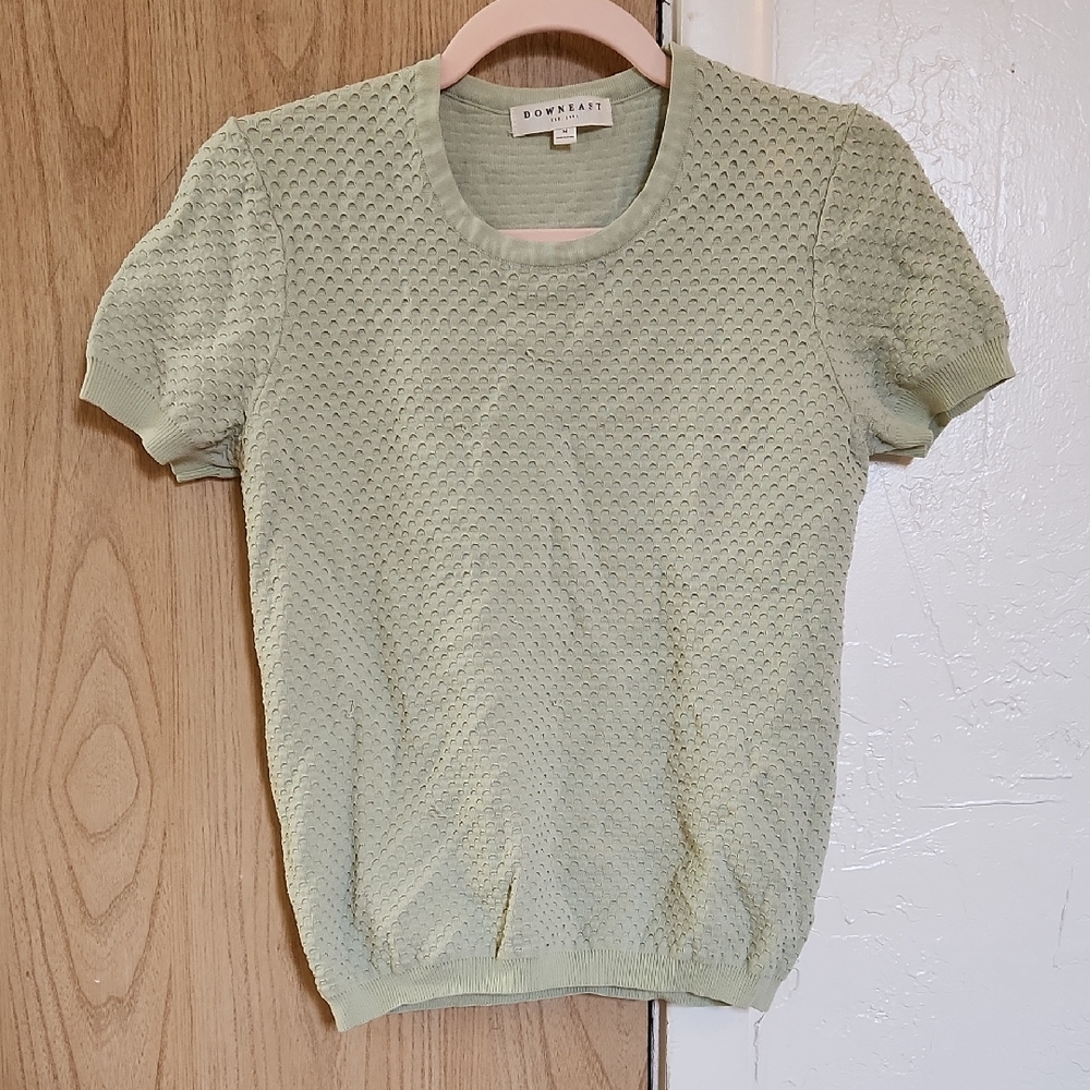 DownEast Light Green Textured Blouse
